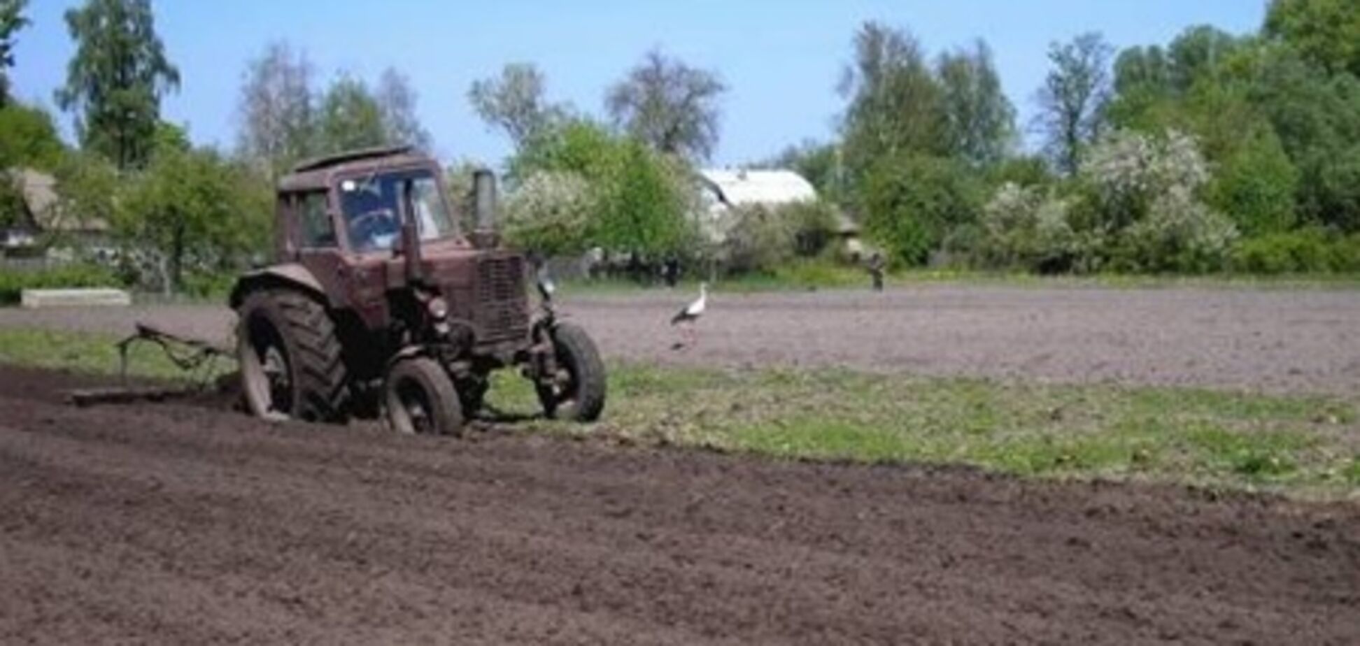 Олігархи є найбільшими орендарями українських сільгоспземель
