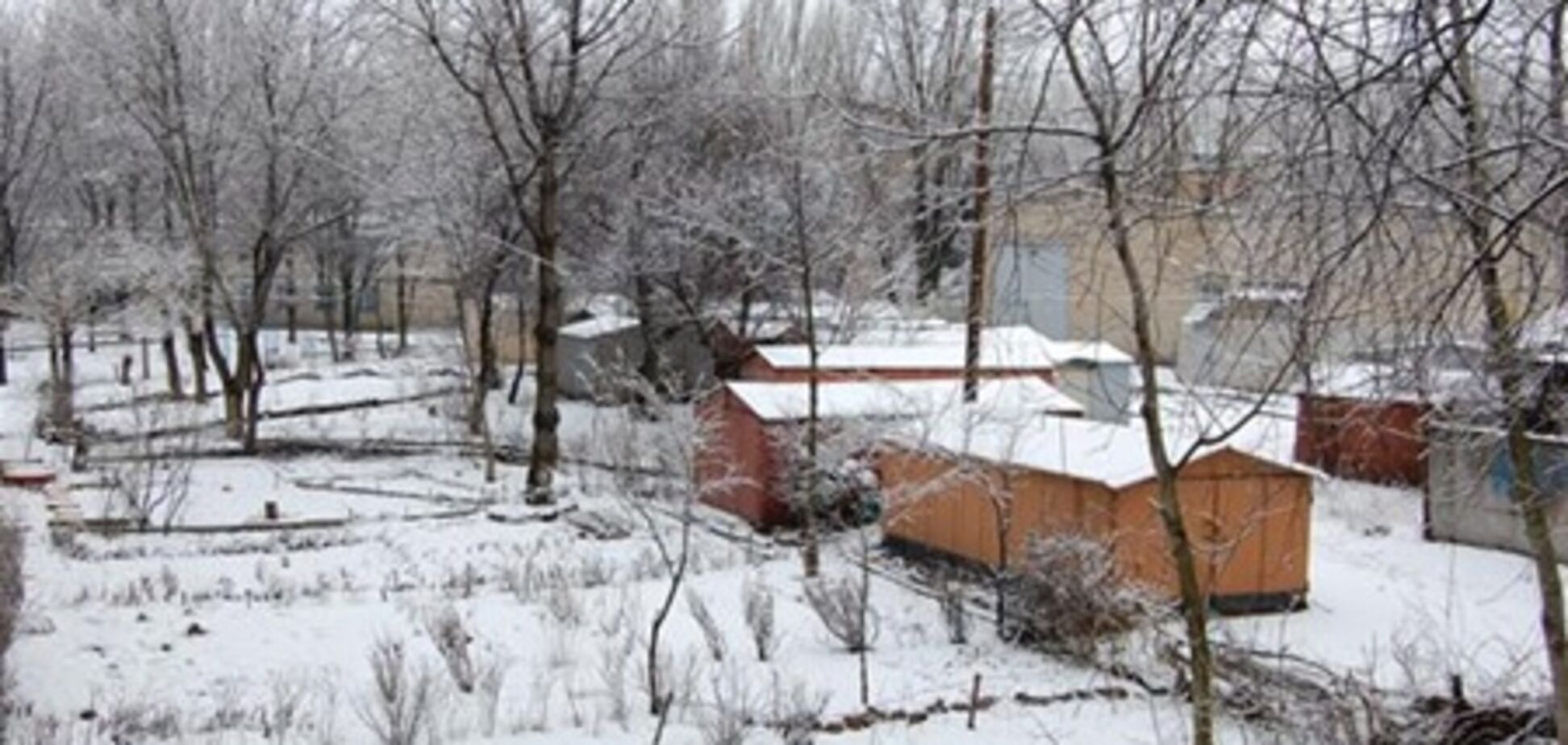 В Донецке весну сменила настоящая зима. Фото