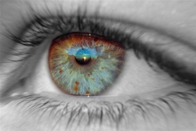 NEW VISION FILM FESTIVAL –лучшие короткометражные фильмы со всего мира!