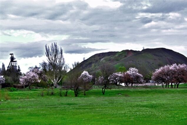 В Донецке директор шахты возглавил группу людей, воровавшую уголь