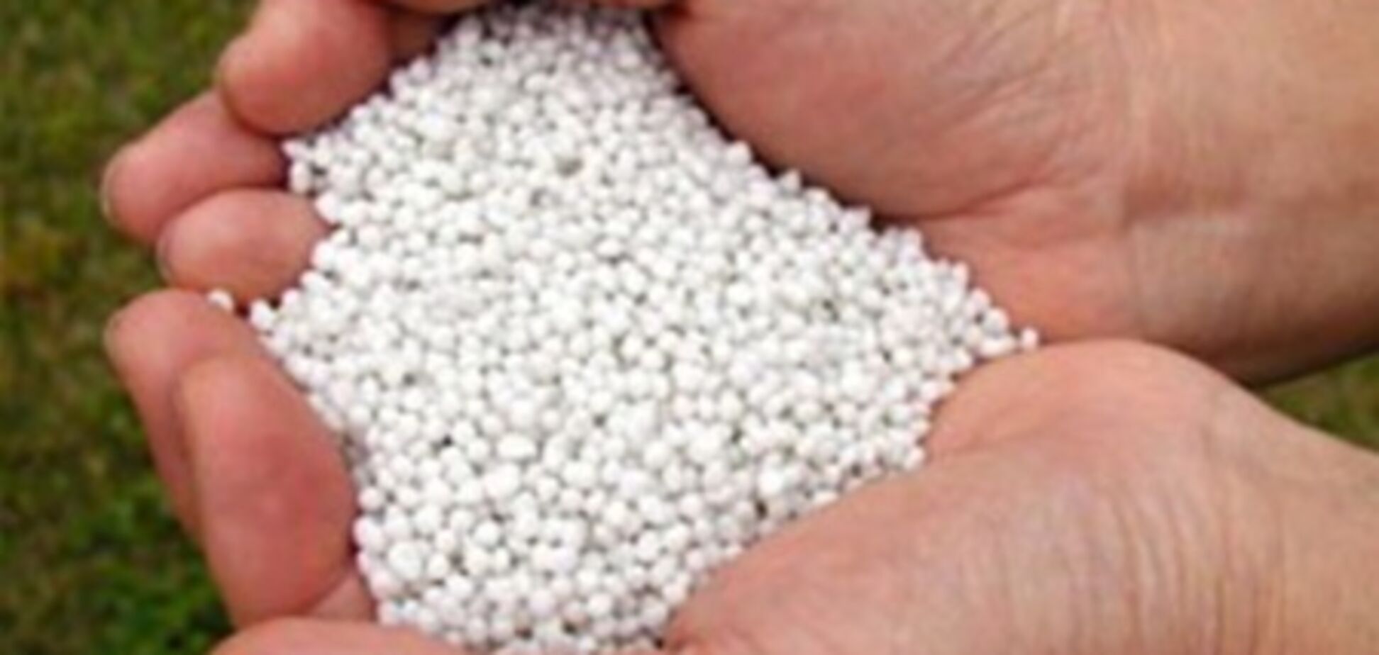 Вся селитра уходит к монополисту на рынке зерновых