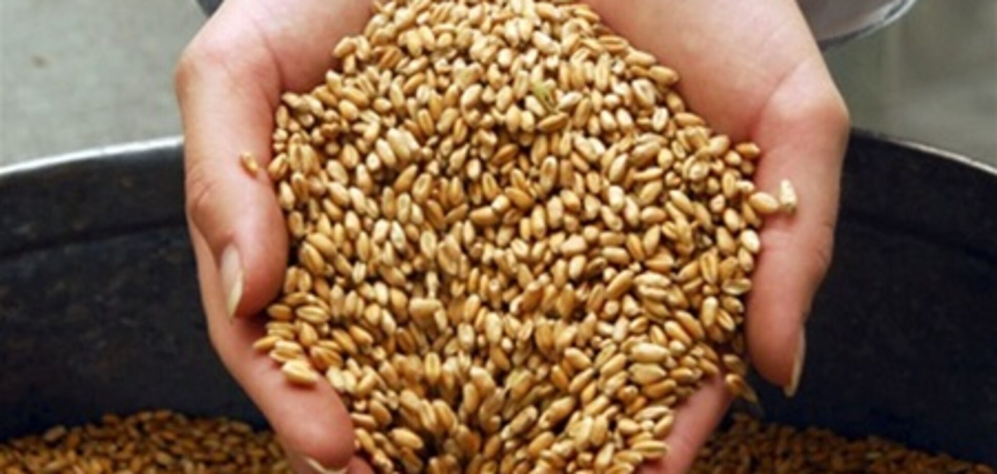 Правительство пока не продлило срок действия квотирования на зерно