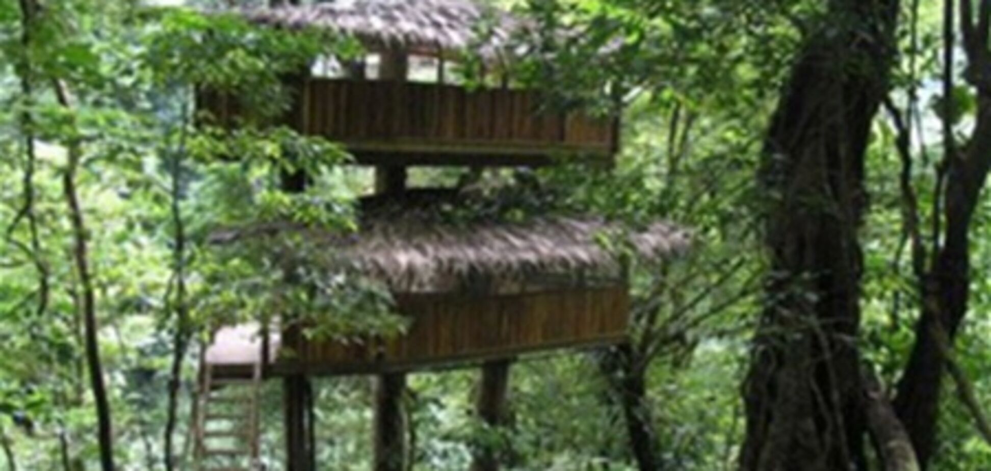 Уютные домики на деревьях в Коста-Рике