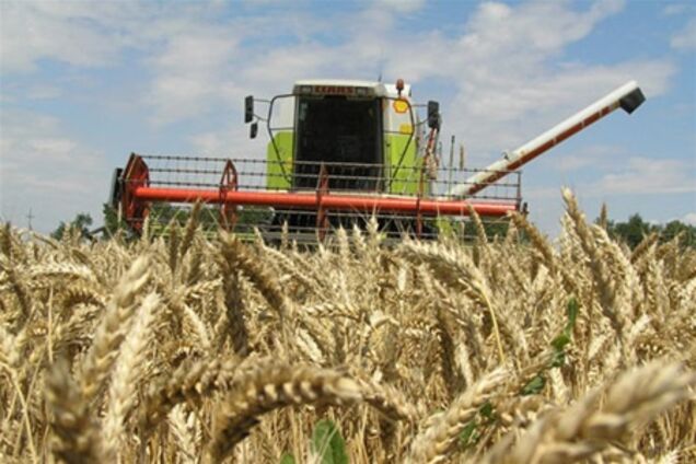 Кіпрська компанія контролюватиме український агрохолдінг