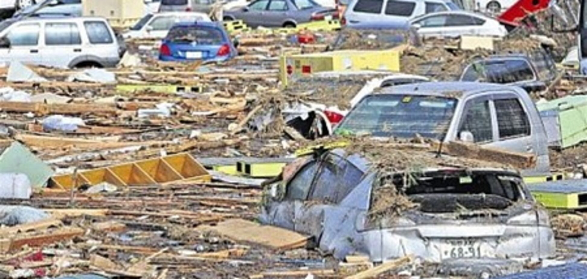 Авария на АЭС в Японии может навредить любителям деликатесов