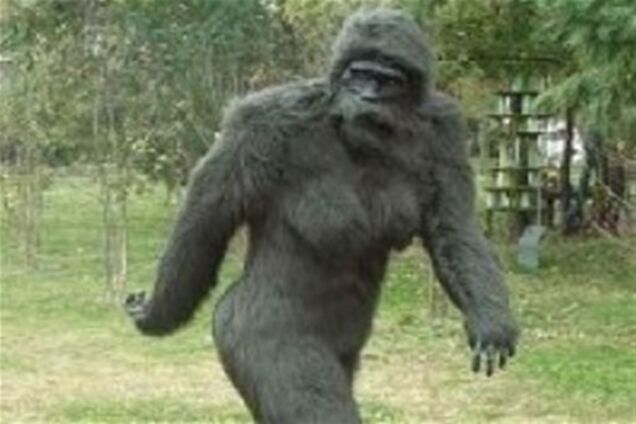 Американец снял на видео снежного человека