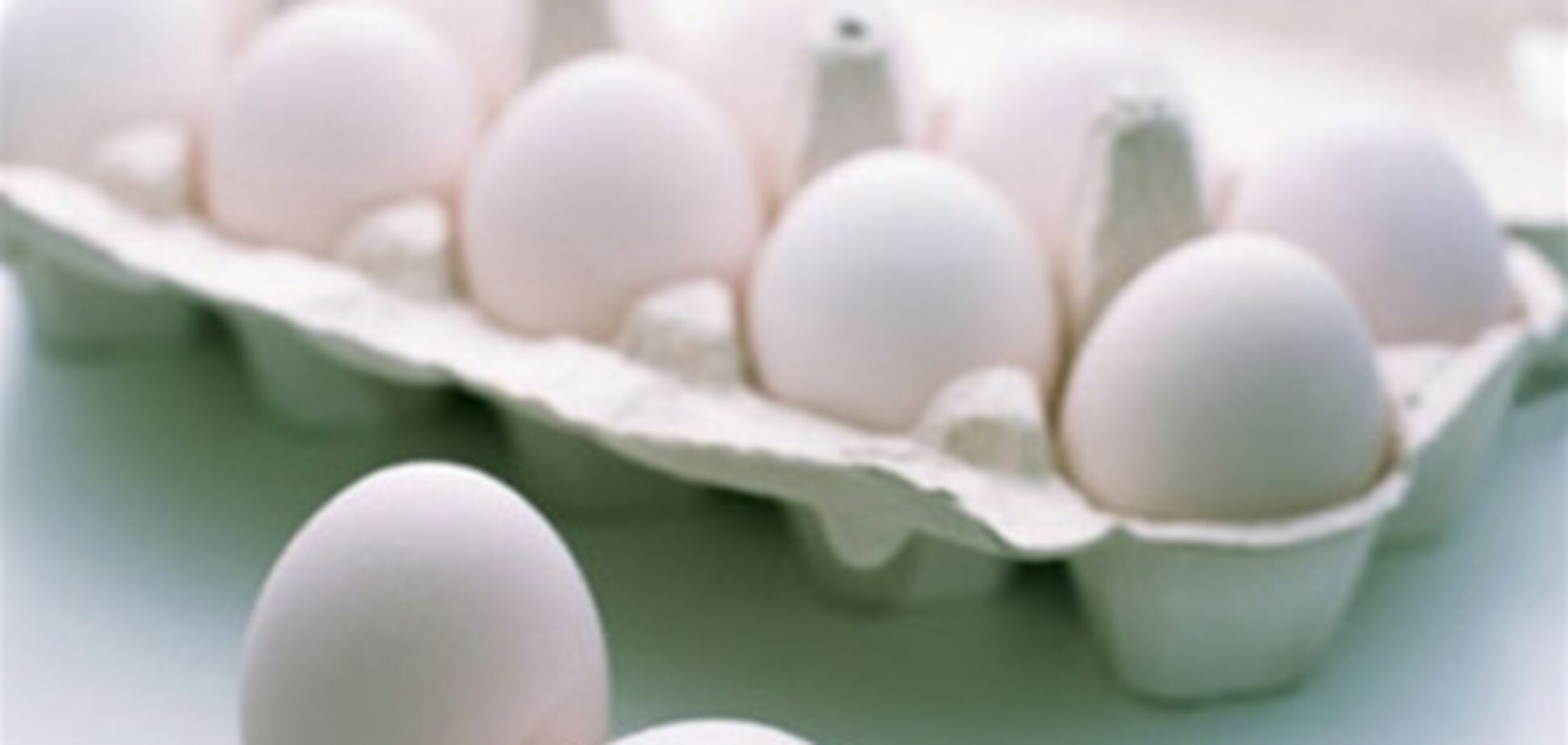 Холодильник не спасает яйца от сальмонеллы
