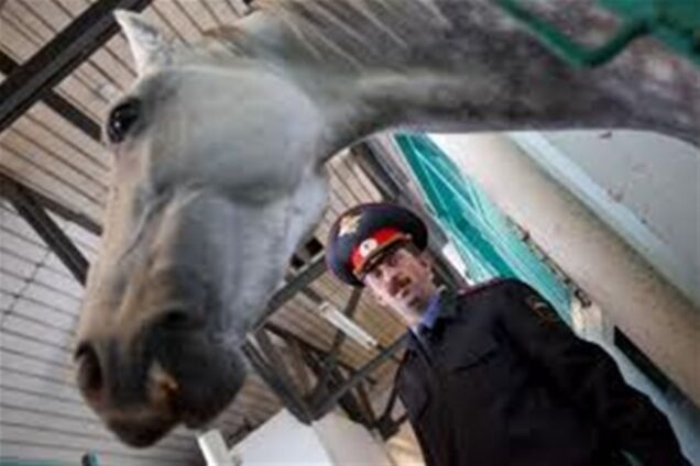 Новый русский полицейский заснул за рулем посреди шоссе