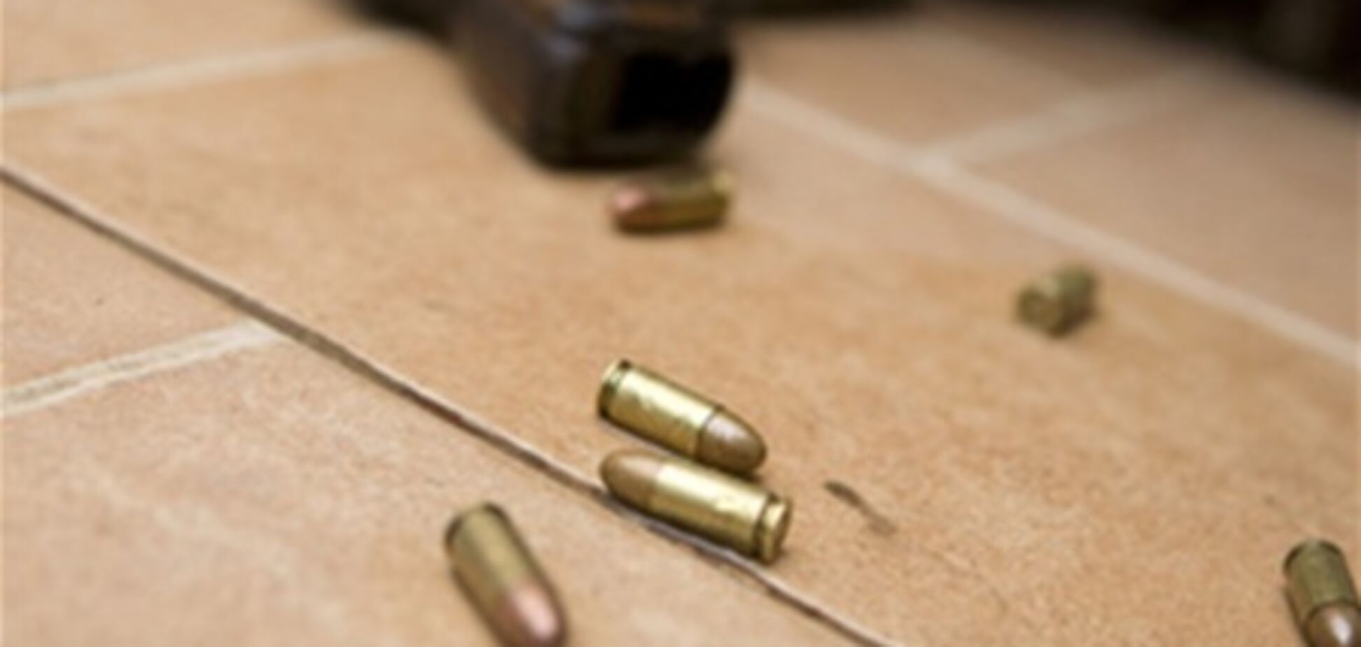 В Киевской области сельский председатель выстрелил в голову односельчанину