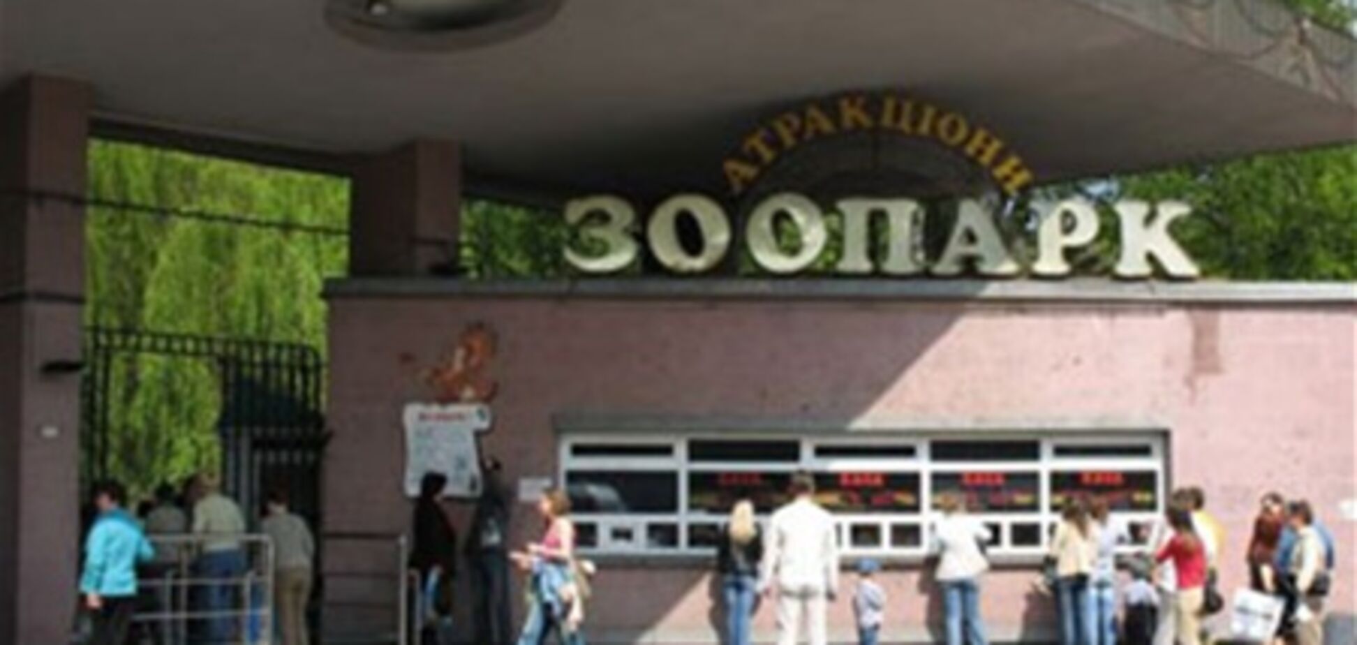 В зоопарке опровергли информацию о 50 умерших животных