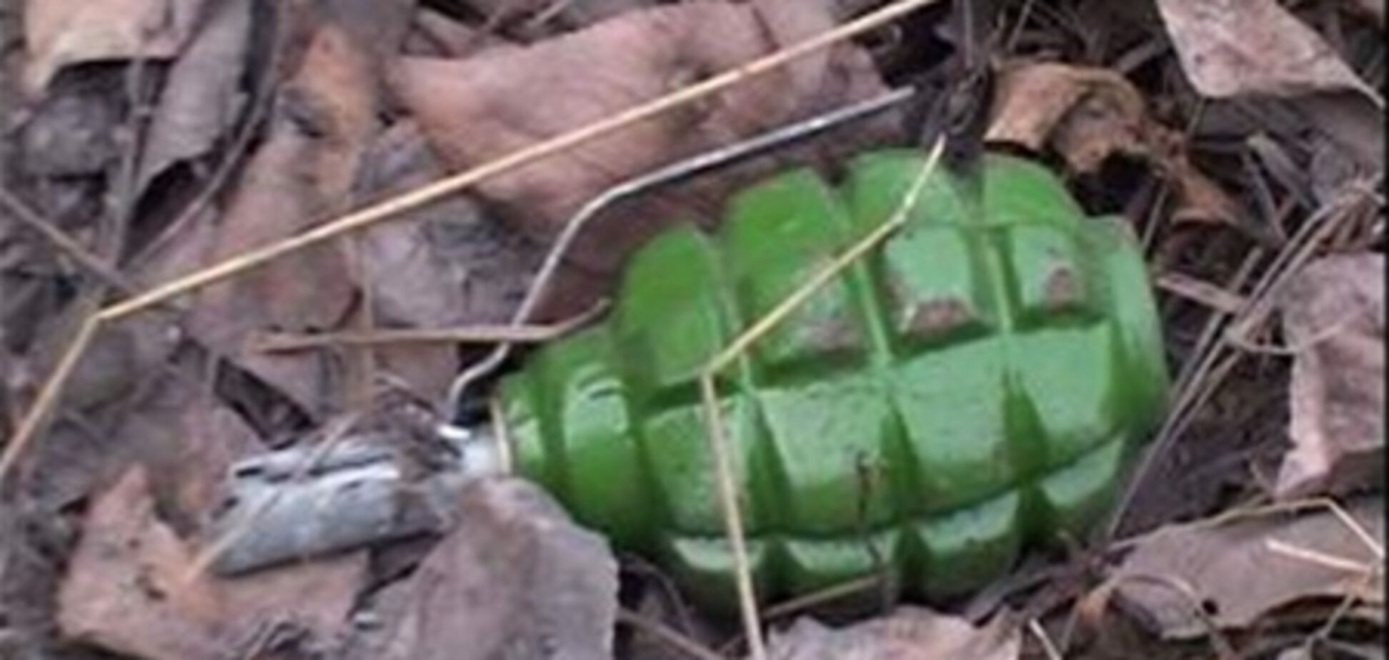 Мужчина подорвался на гранате, которую бросал в милиционера