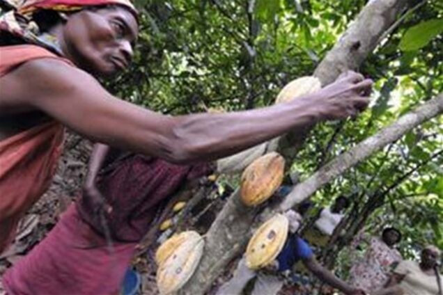 Невизнаний президент Кот-д'Івуару націоналізує какао