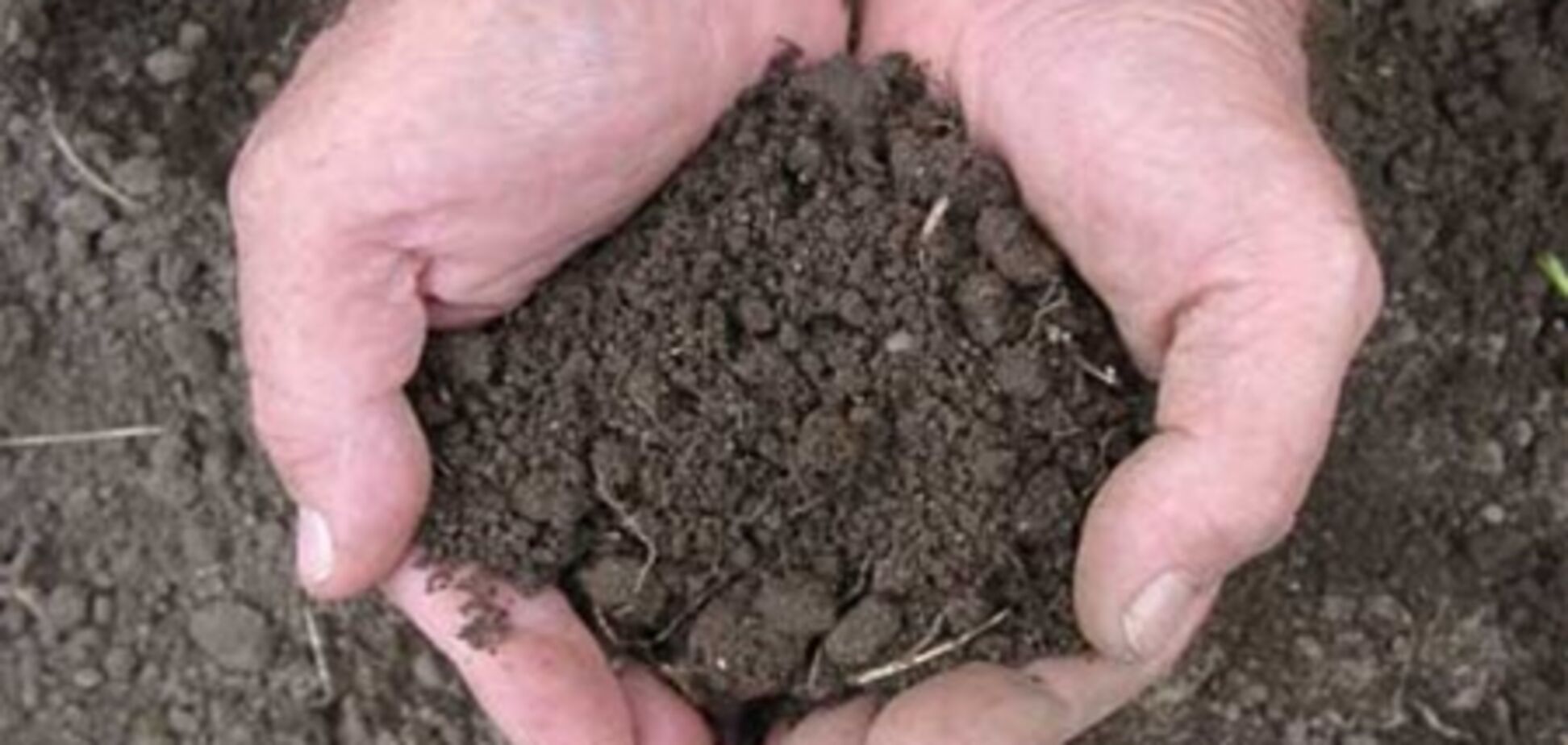 НУ-НС: Земельна реформа має насамперед відповідати інтересам селян