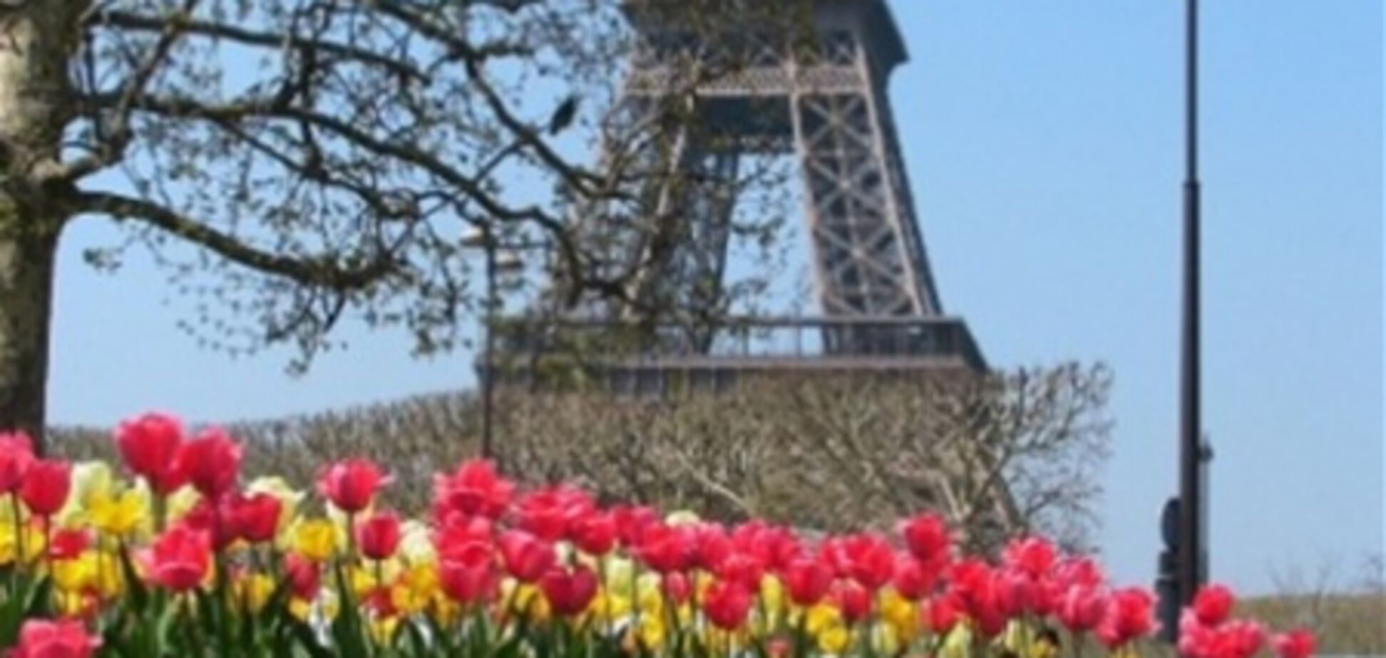 В Україні розпочалась 'Французька весна'