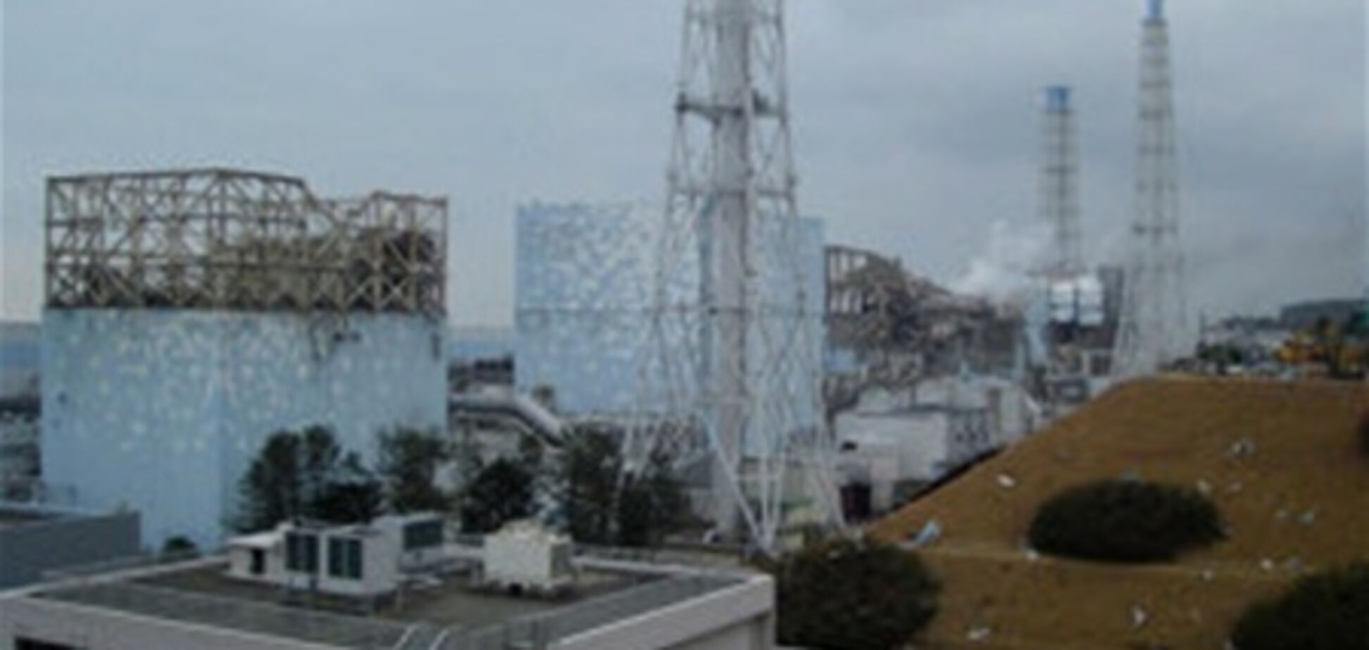 В Японии начали распылять 'чудо-смолу', спасающую от радиации