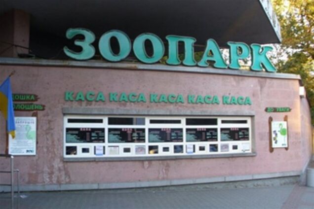 Озвучены причины смерти зверей в киевском зоопарке