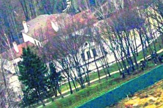 Янукович в Межигорье разводит голубей