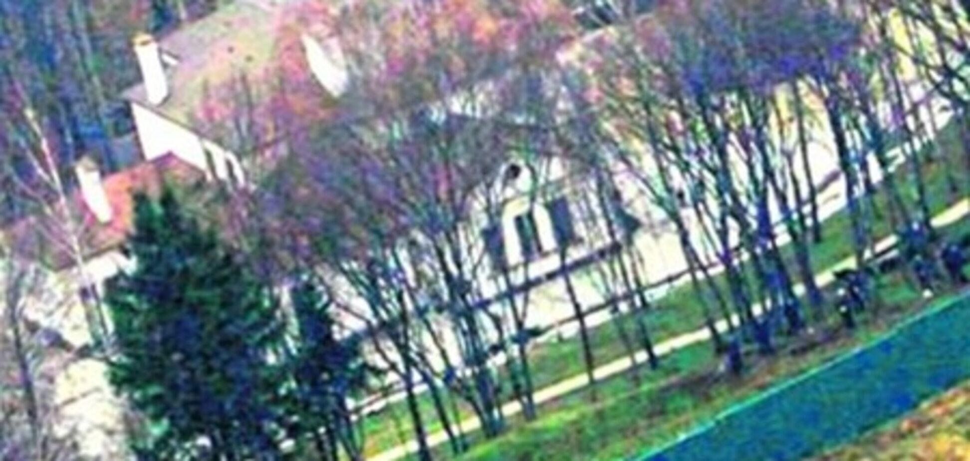 Янукович в Межигорье разводит голубей