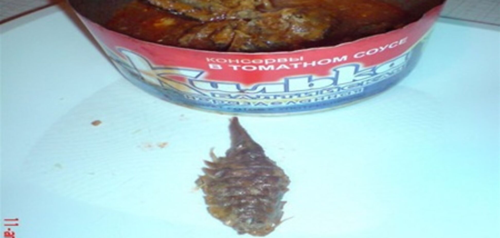 Консервы из балтийской кильки - кладбище доисторических животных. Фото