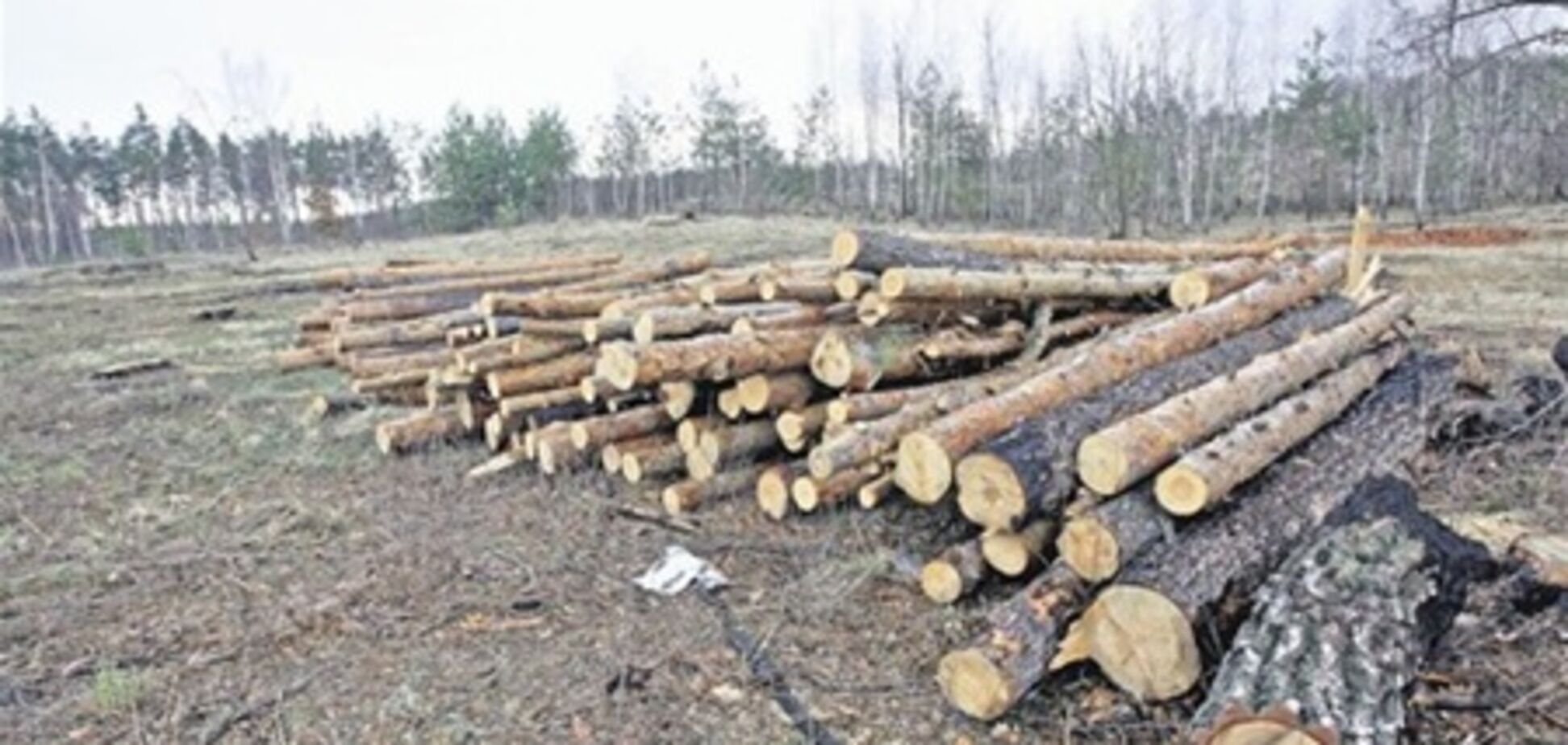 Пожежа - нова київська схема відчуження землі під забудову