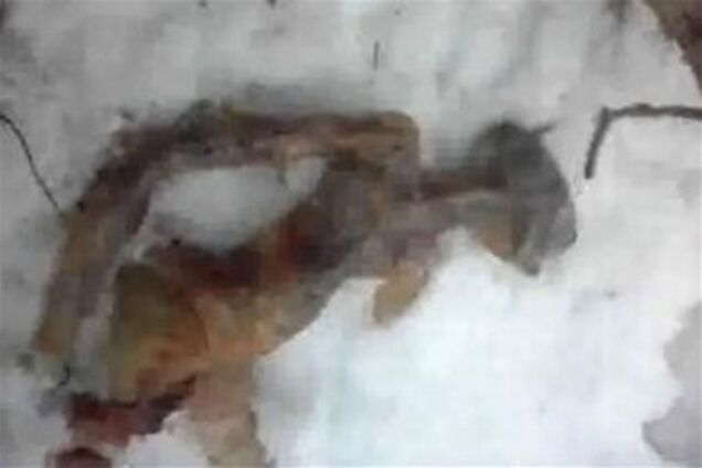 У Росії знайшли тіло прибульця: жіночої статі і без однієї ноги