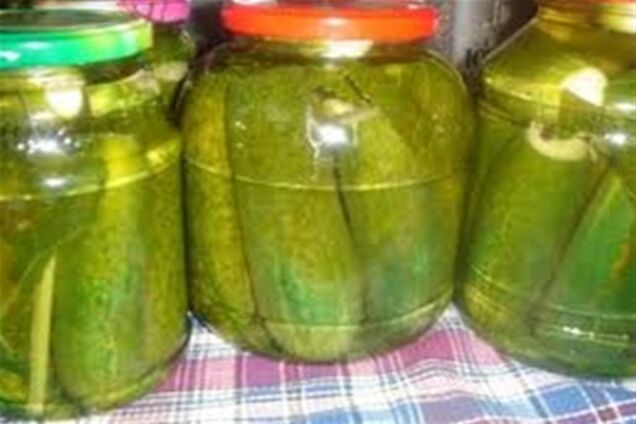 Украина вызвалась обеспечить Ирак солеными огурцами