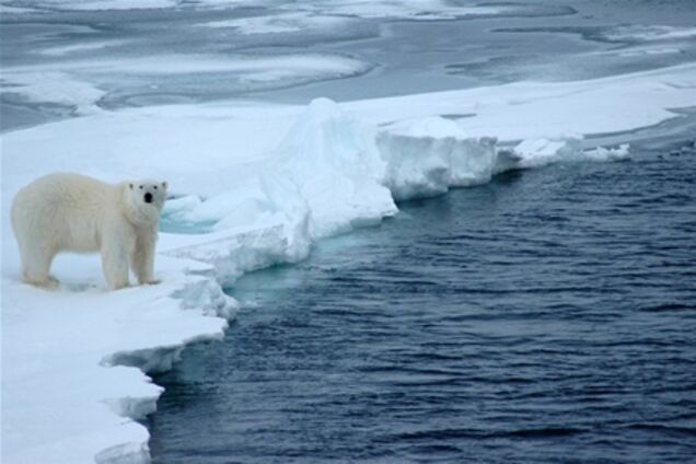 Глобальне потепління знищує Арктику