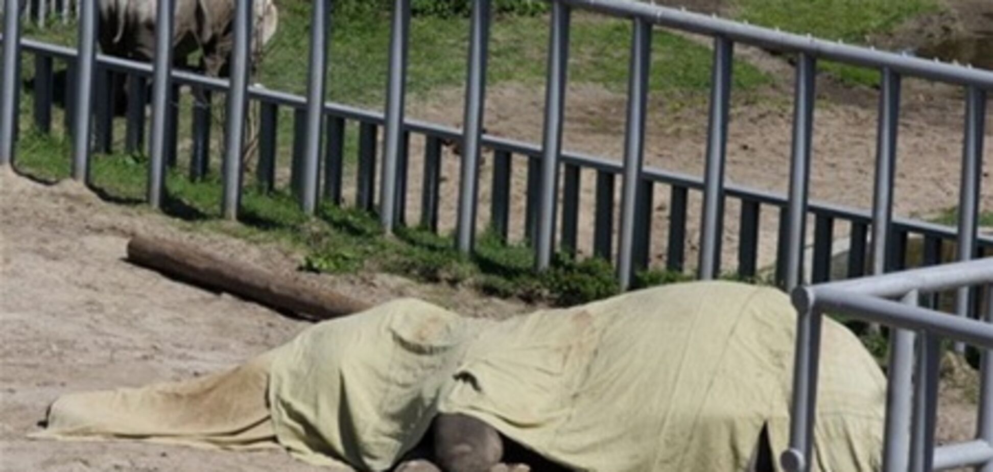 В Зоопарке столицы за полгода погибло 62 особи