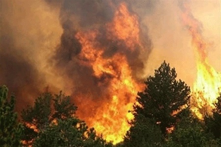 Лесные пожары в Сибири: площадь возгорания растет очень быстро