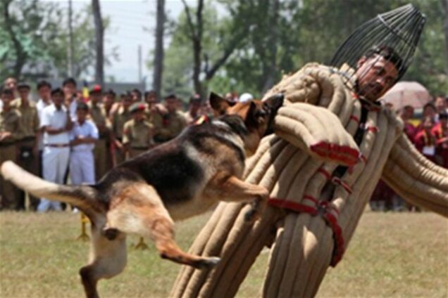 Картина дня: 27 апреля в фотографиях