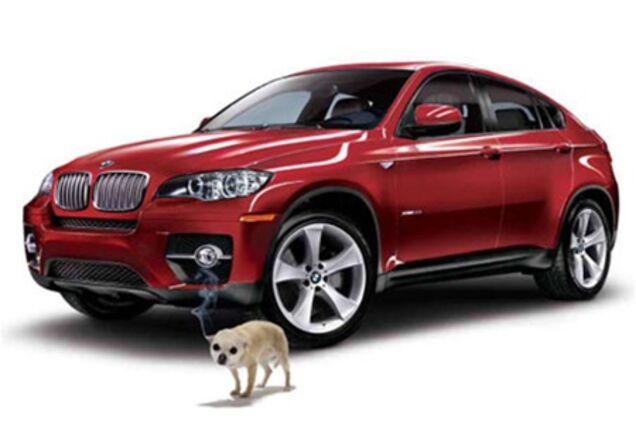 Названа самая популярная марка авто у женщин