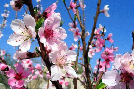 Апрель будет дождливым и ветреным - синоптики