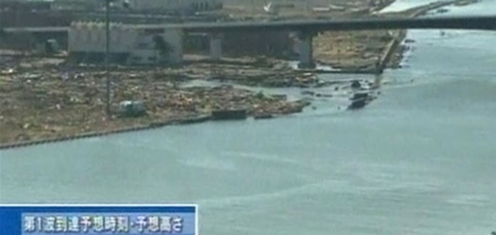 В зараженную воду 'Фукусимы' добавили 13 кг красителя