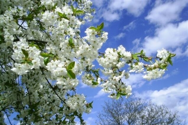 Апрель будет дождливым. Обещают даже мокрый снег