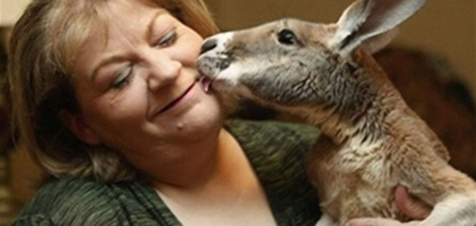 Власти хотят разлучить больного кенгуру с хозяйкой