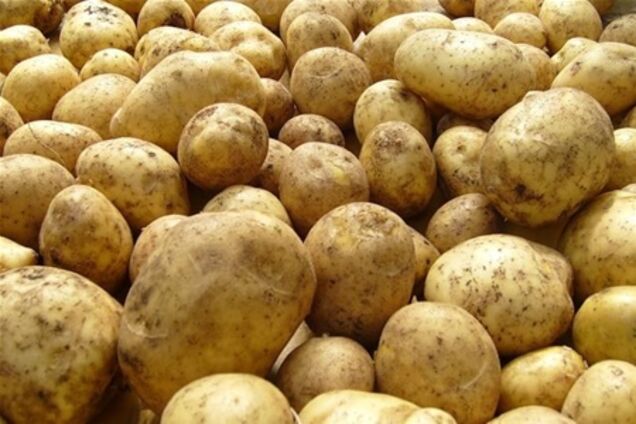 В українських грибах, молоці та картоплі виявили радіацію