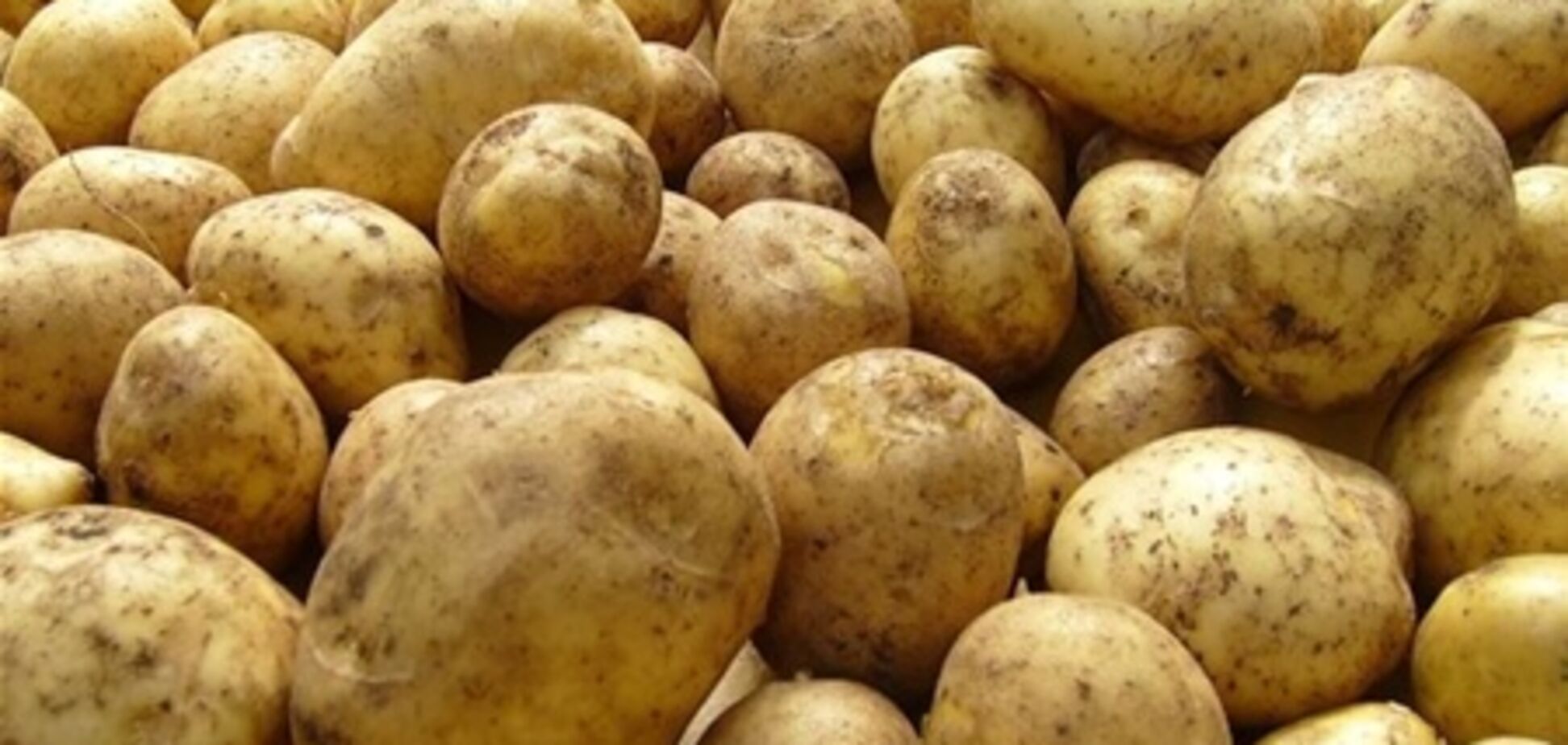 В украинских грибах, молоке и картошке обнаружили радиацию
