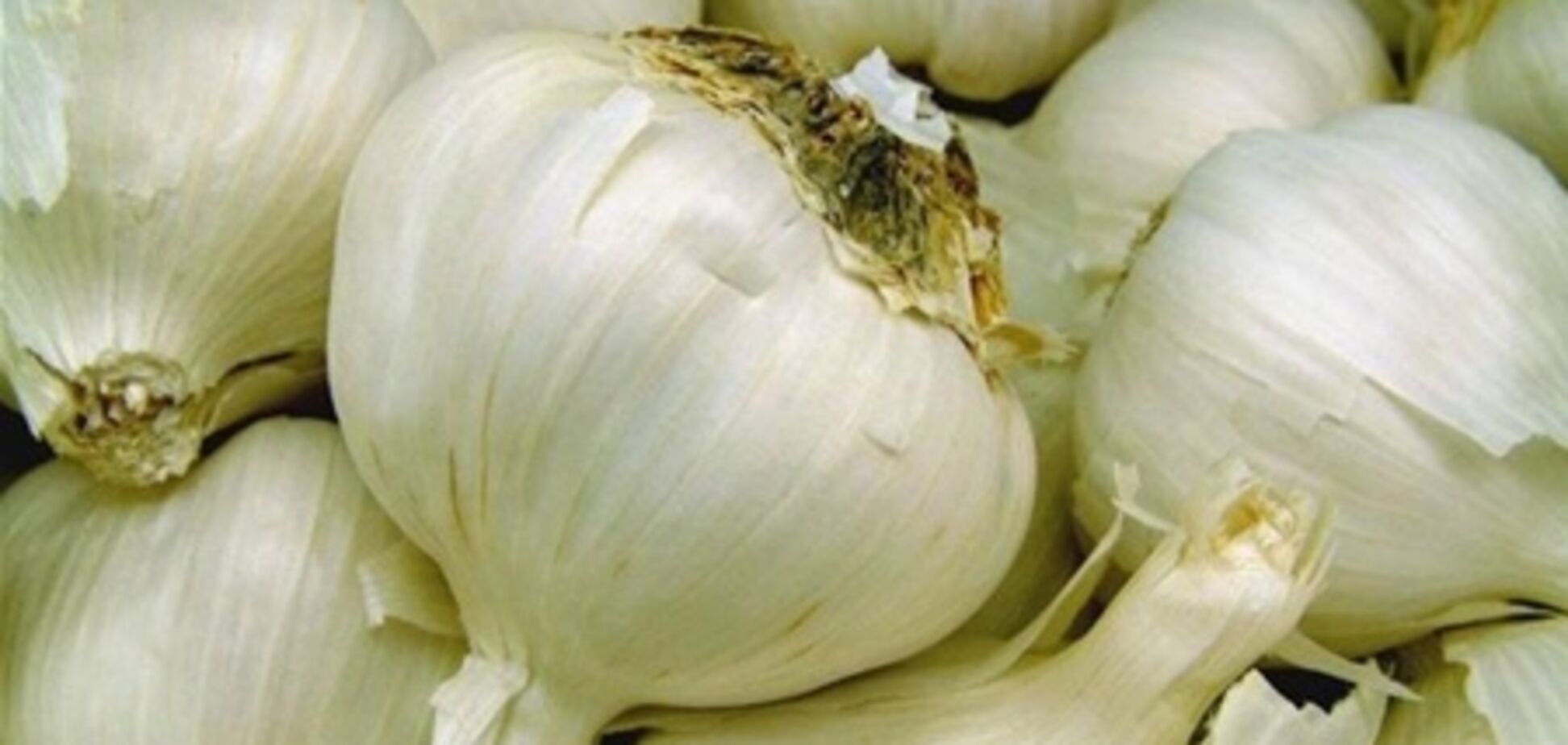 Китайський часник - табу?