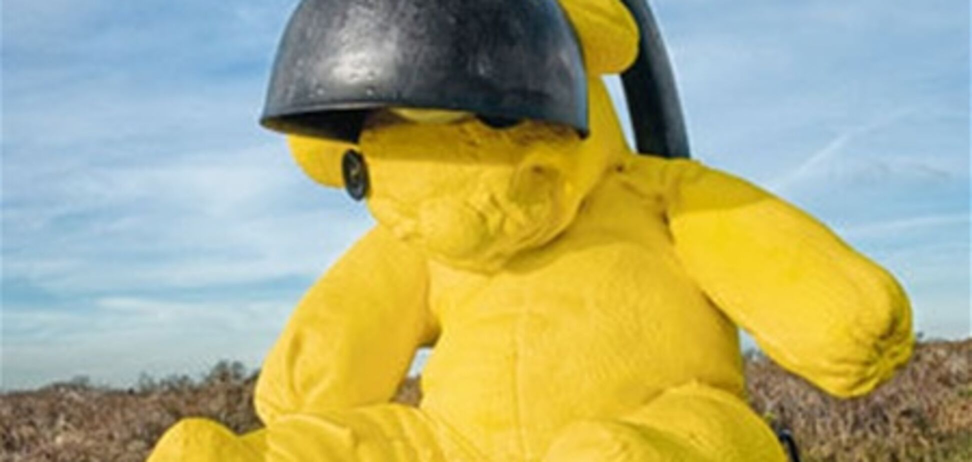 Christie's выставил на торги гигантского игрушечного медведя