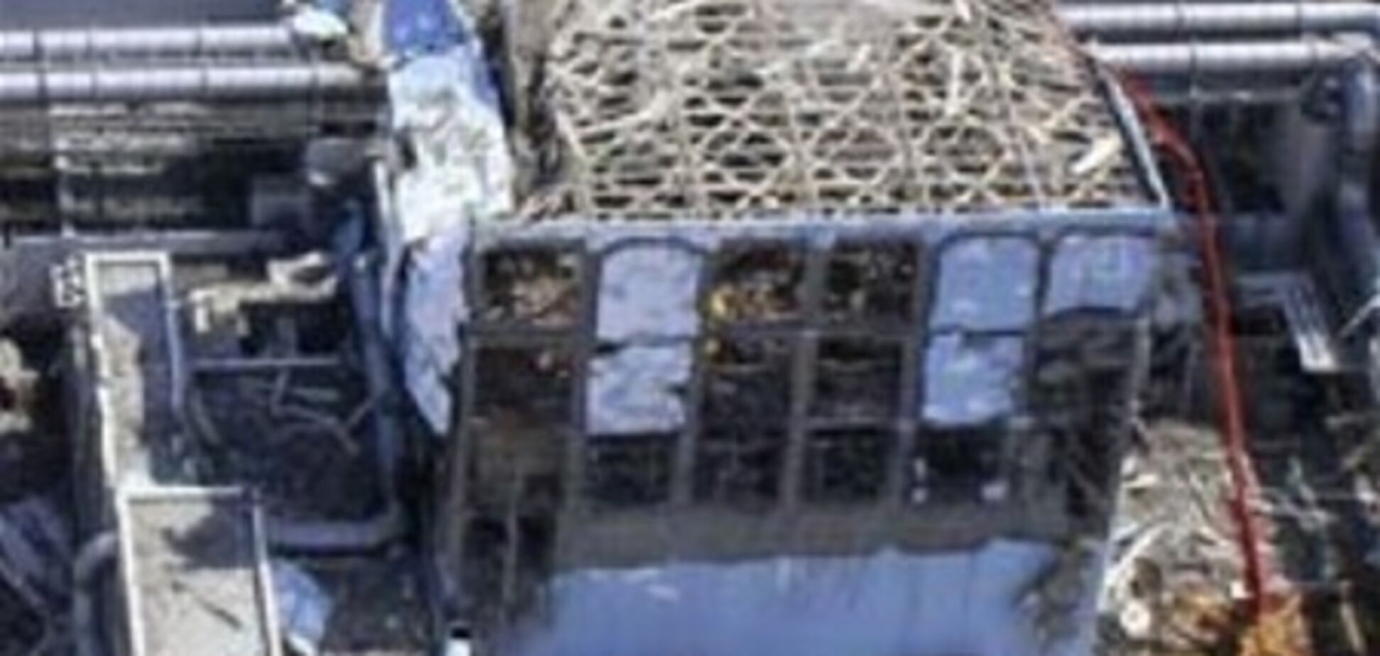 Українських чорнобильців кличуть на 'Фукусіму'