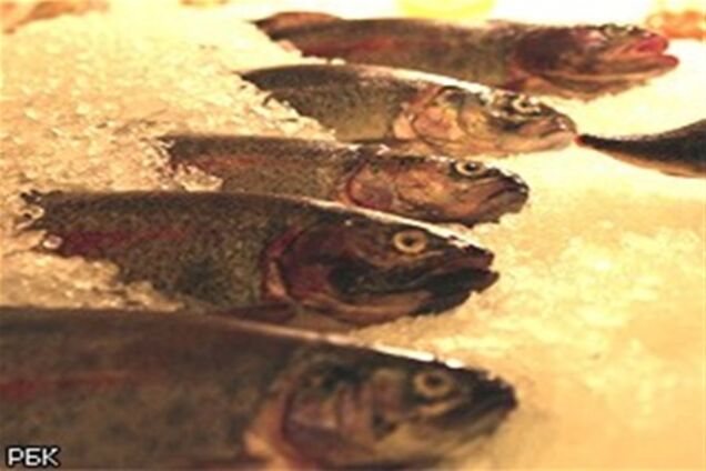 Япония законодательно запрещает радиацию