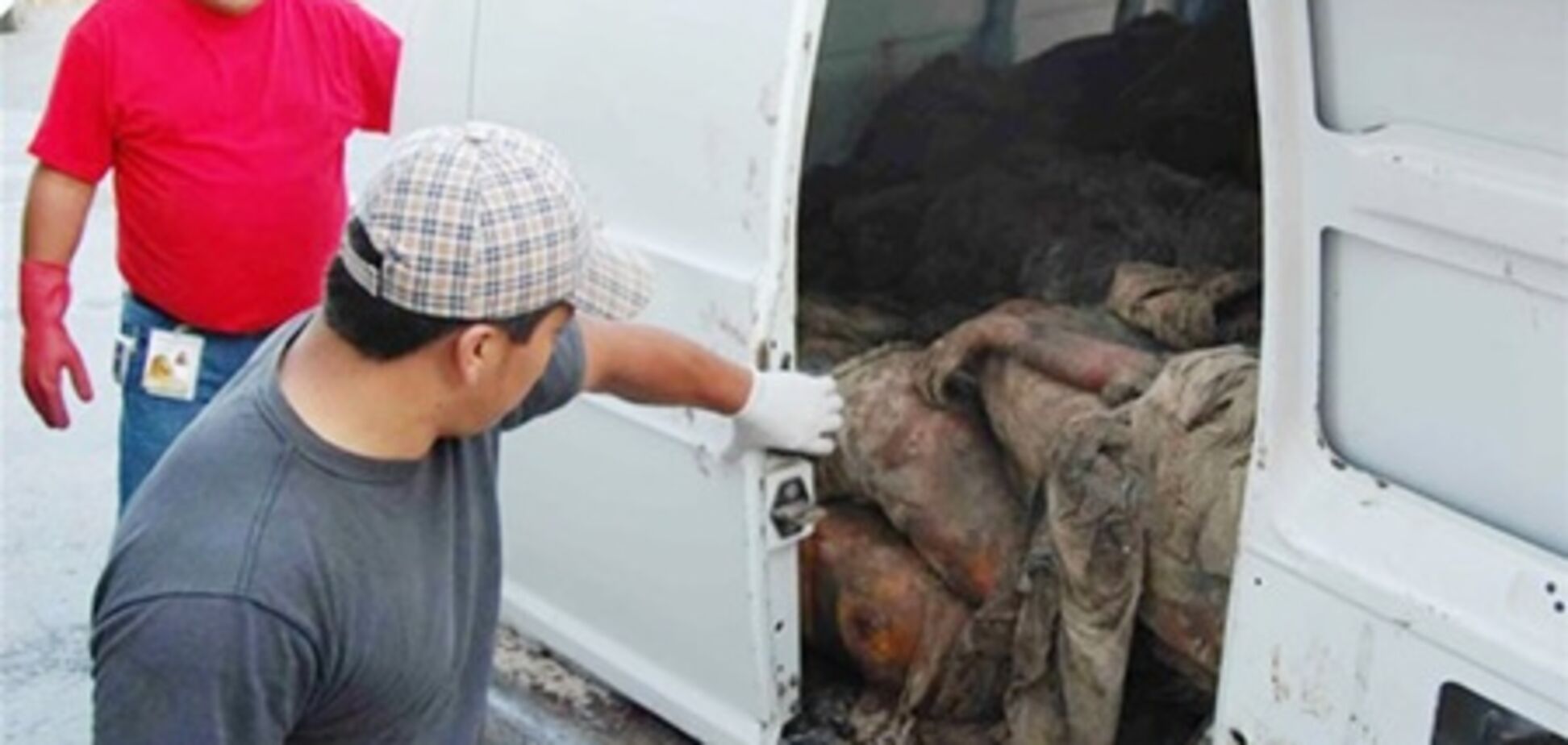 В Мексике нашли массовое захоронение наркомафии: 59 трупов