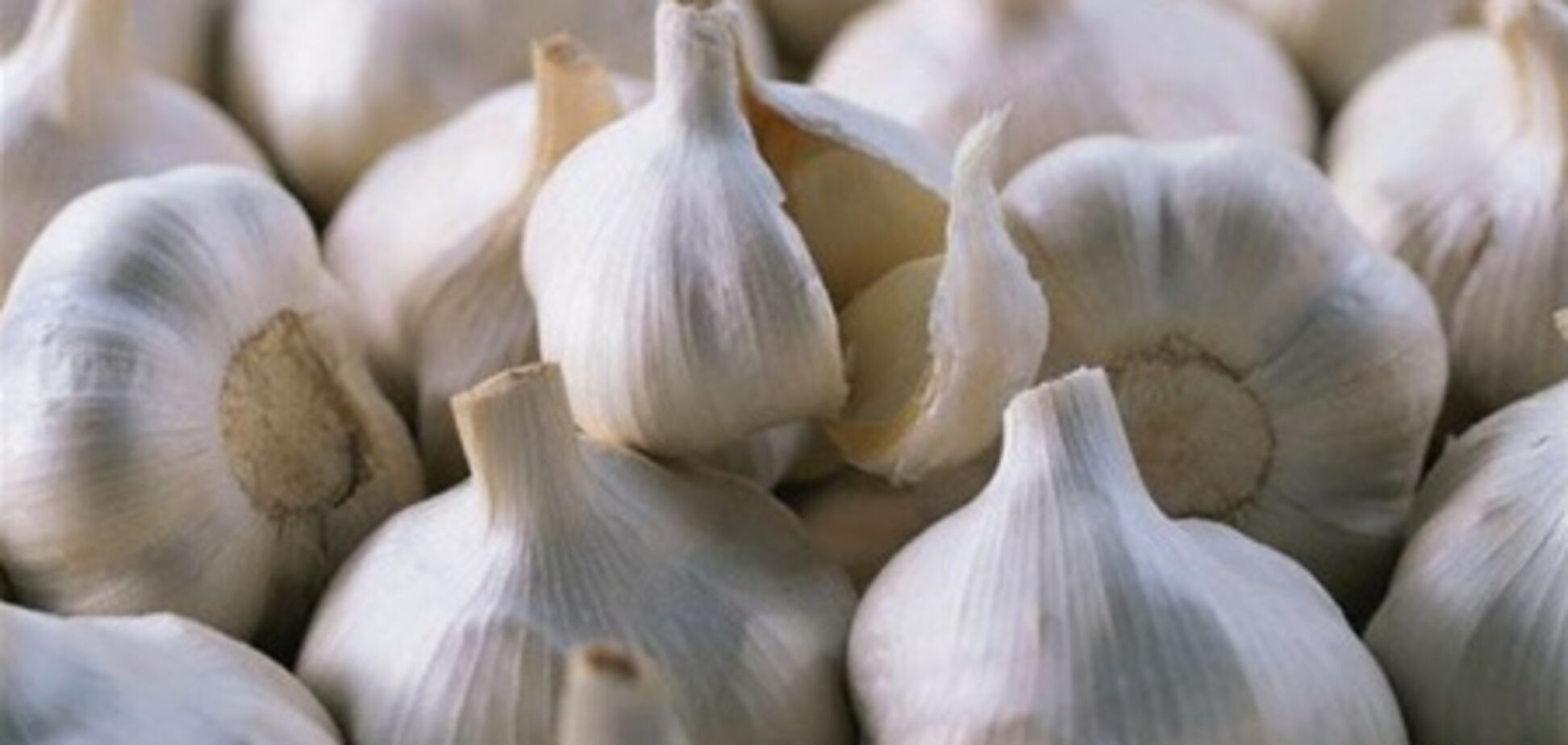 Гречки еще нет, чеснока уже нет