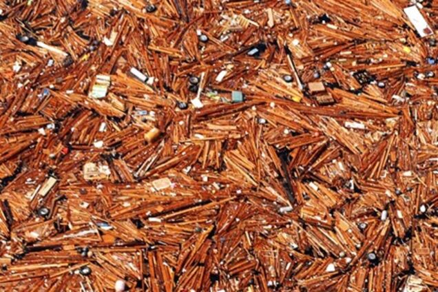 В сторону США плывут дома и трупы людей из Японии