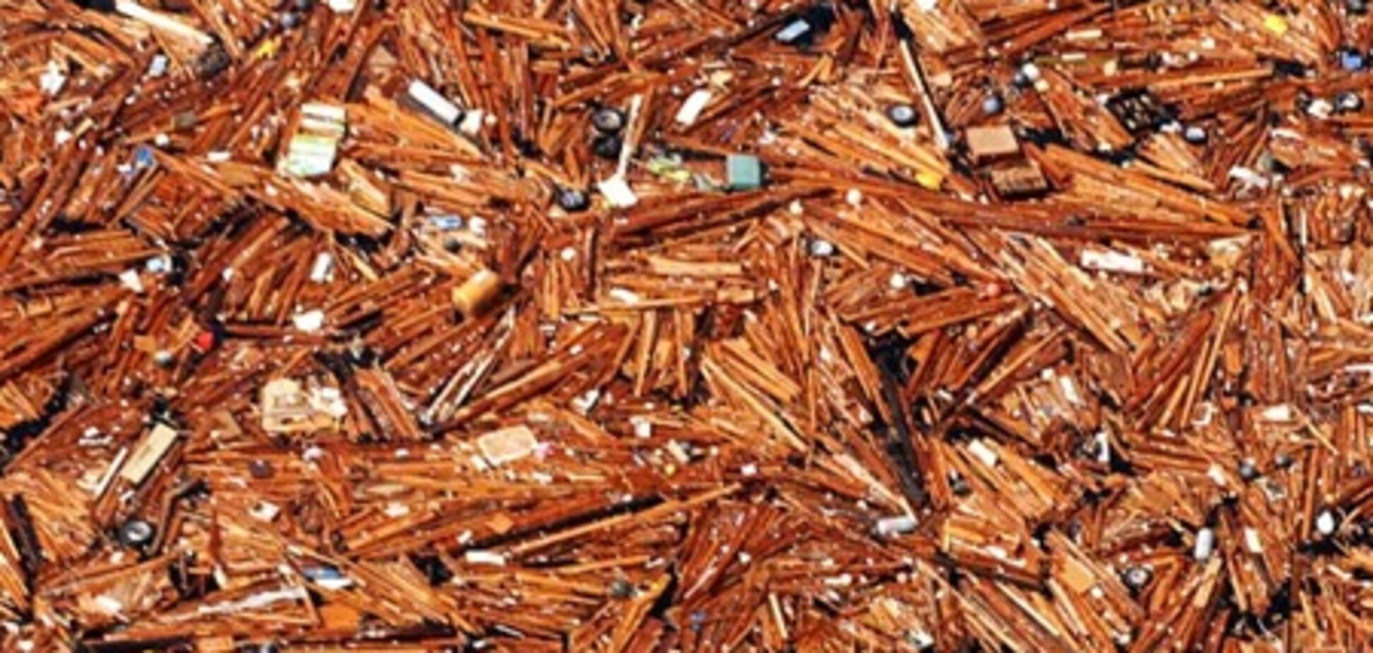 В сторону США плывут дома и трупы людей из Японии