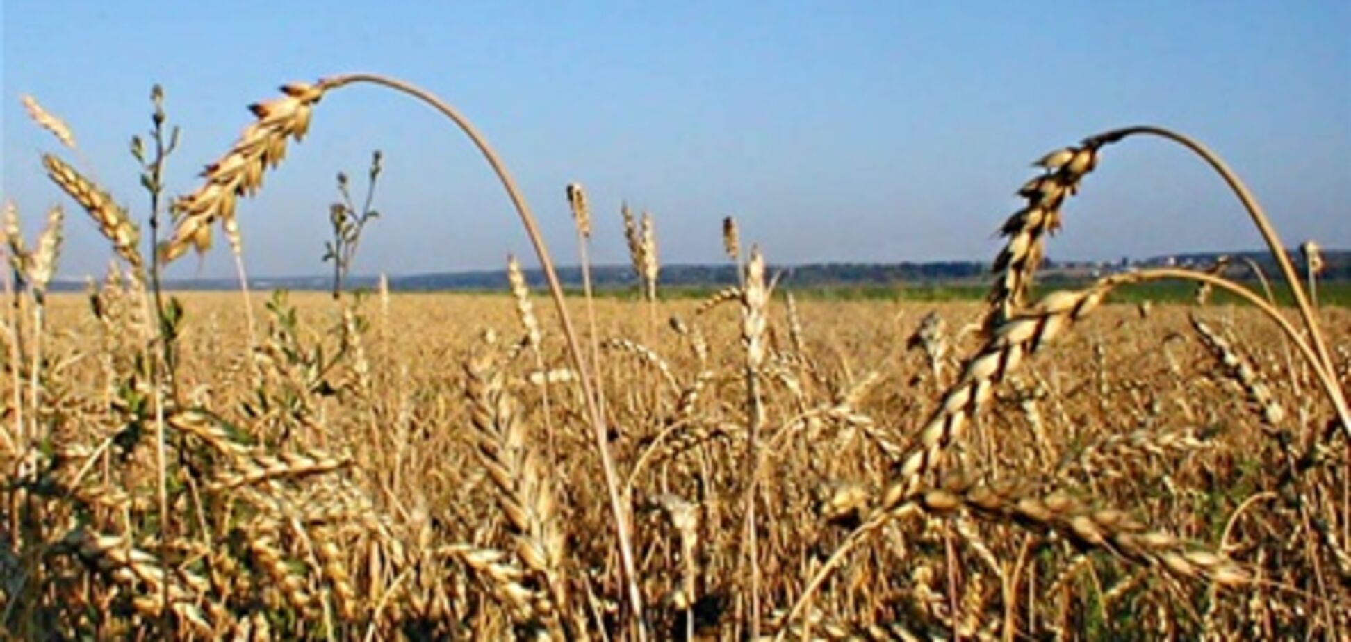 США завили, что Украина может и увеличить экспорт зерна