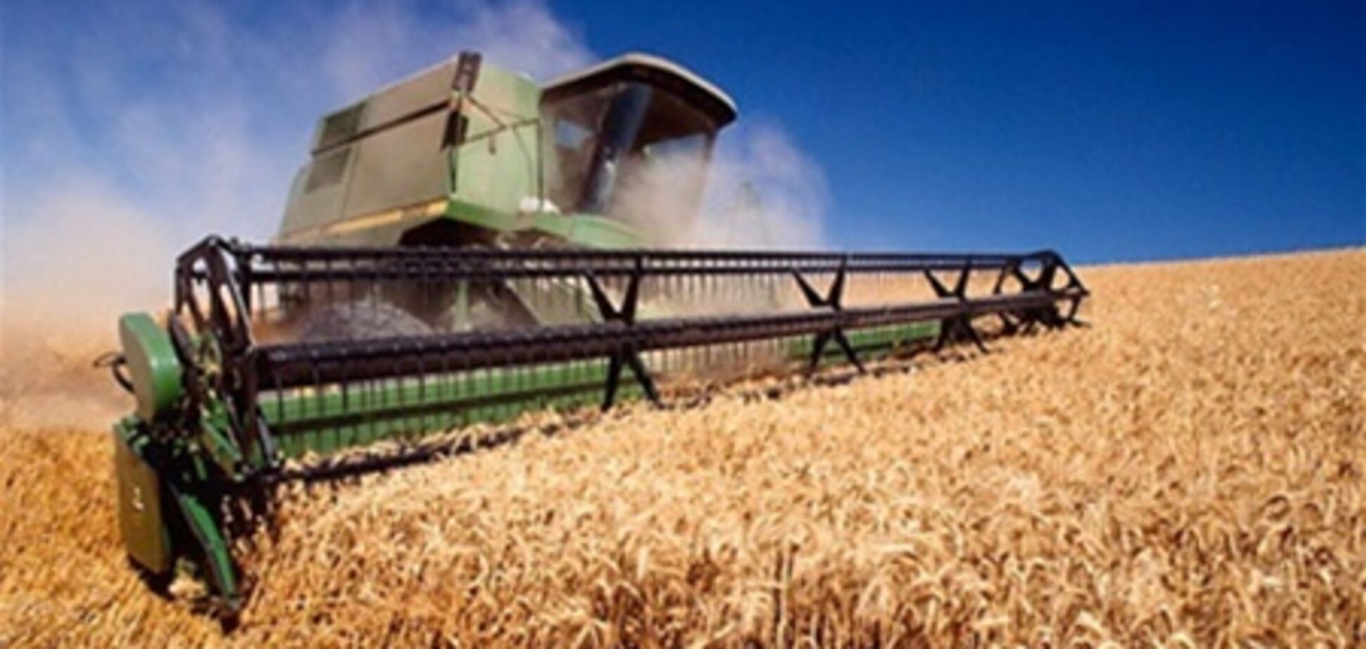 Госстат: Запасы зерна в Украине выше прошлогодних