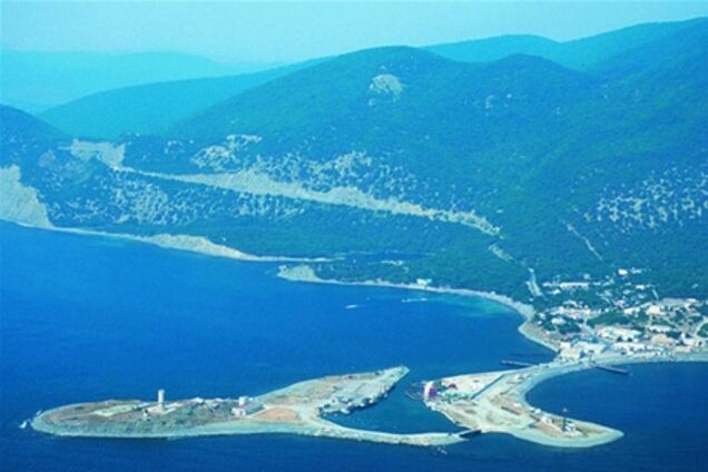 У побережья Анапы найдены десятки мертвых дельфинов