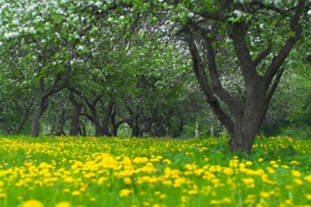 Погода порадует горожан стабильностью