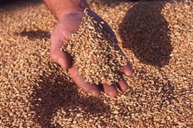 Специалисты не могут объяснить таможенные ставки на зерно